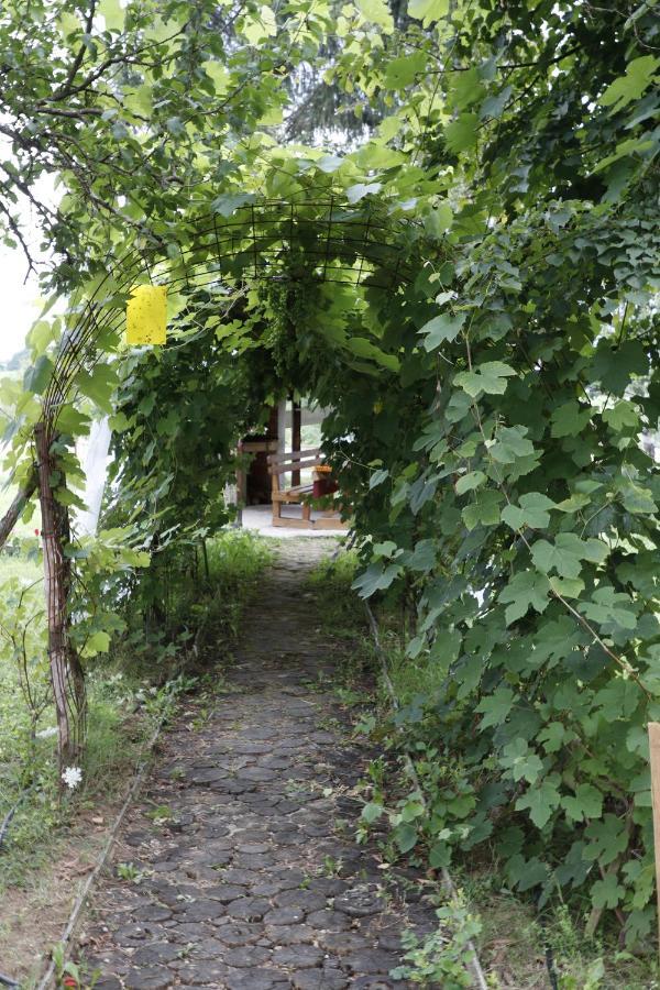 Apartments Eco Forest Resort Rakovica Exterior foto